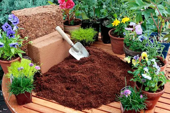 Coco peat for all indoor plants